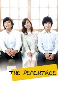 The Peach Tree (2012) Korean Movie