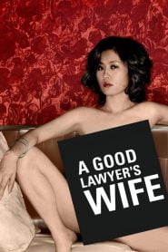 A Good Lawyer’s Wife (2003) Korean Movie