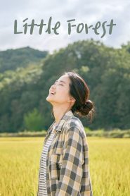 Little Forest (2018) Korean Movie