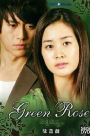 Green Rose (2005) Korean Drama