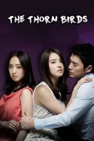 The Thorn Birds (2011) Korean Drama