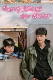Cherry Blossoms After Winter (2022) BL Drama