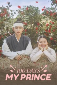 100 Days My Prince (2018) Korean Drama