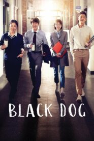 Black Dog (2019) Korean Drama